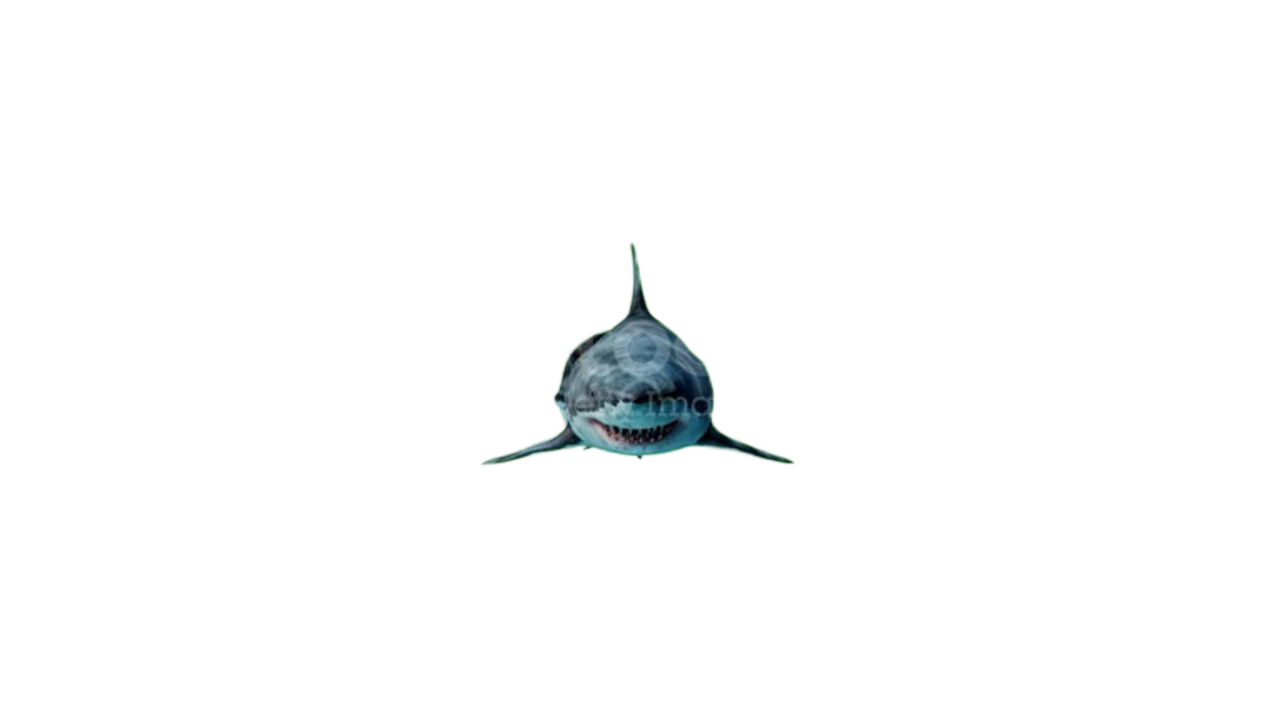 Shark Week Hero