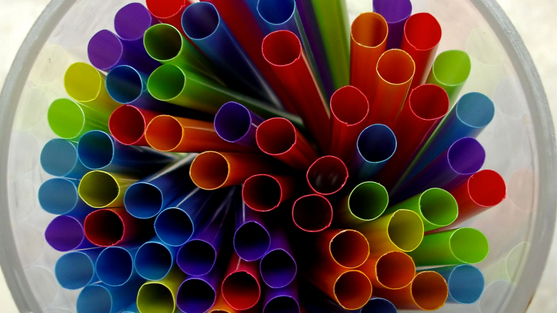 The Last Straw: Reduce Your Plastic Footprint and Hydrate Trash-Free