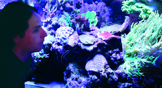 Patrick_fishtank_557.jpg