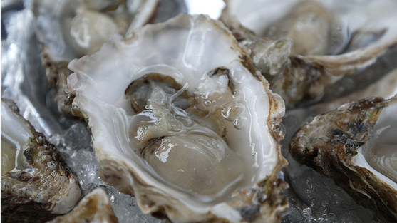 oyster_swamibu-flickr.png