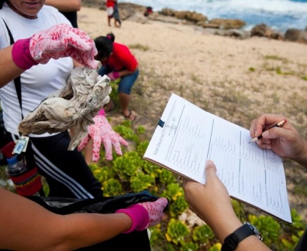 KahukuCleanup08-e1368463044618.jpg