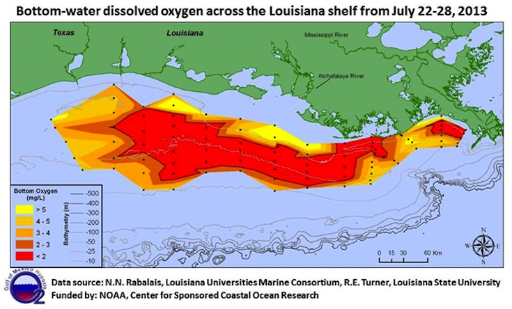 LUMCON_dead-zone.jpg