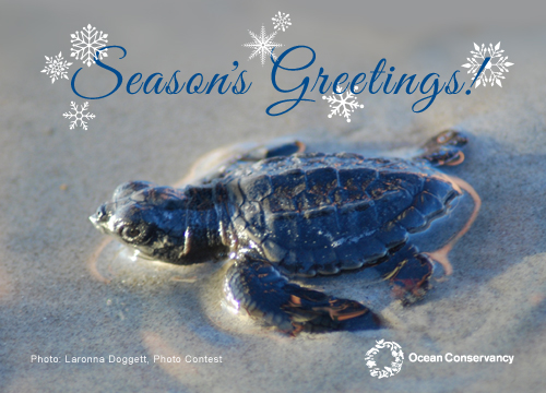 HolidayECard2013-plain.jpg