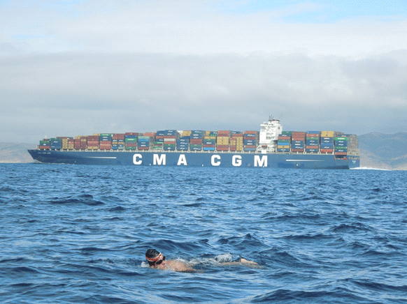 bret-swimming.gif