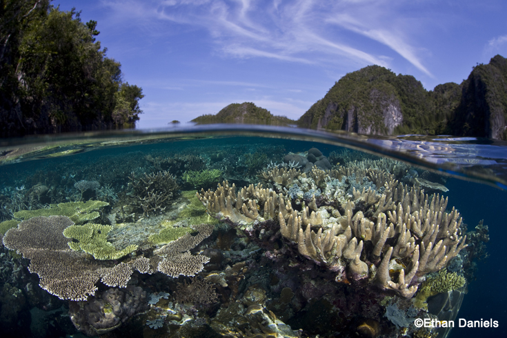 Honoring the Women Who Fight for Our Ocean (Part 3) - Ocean Conservancy