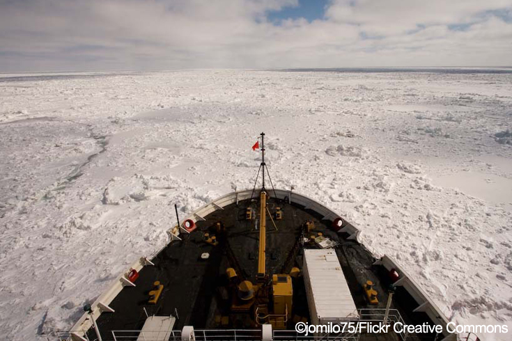 Increased Shipping Could Cause Serious Impacts in the Bering Strait ...