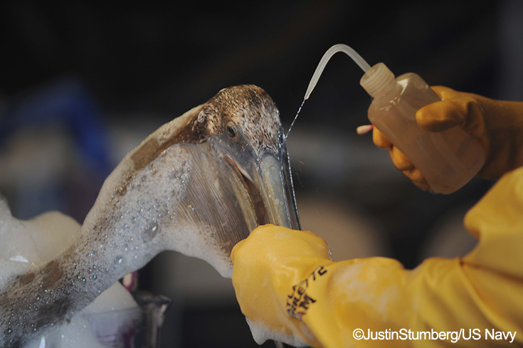 cleaningPelican_USNavy_JustinStumberg1.jpg