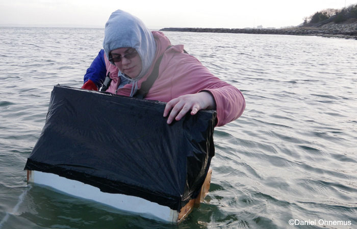 Scallop-Look-Box.jpg