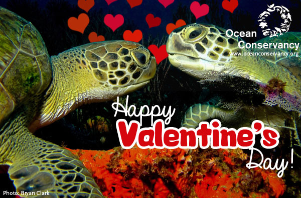 HappyVDay_web.jpg