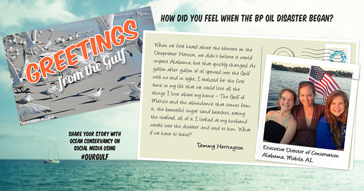 Tammy_HerringtonPostcard_web.jpg
