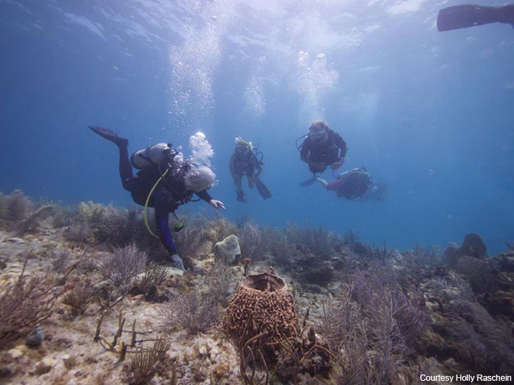 HMR-Coral-Planting-2.jpg