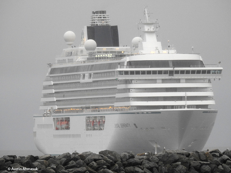 crystal serenity arctic