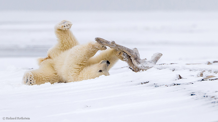 5 Things You Didn't Know About the Hudson Bay