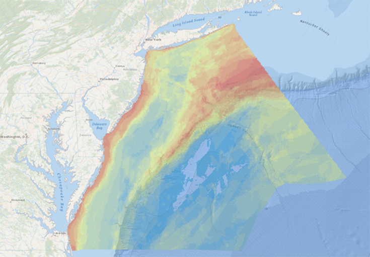 Revolutionary Marine Life Data Released in the Mid-Atlantic