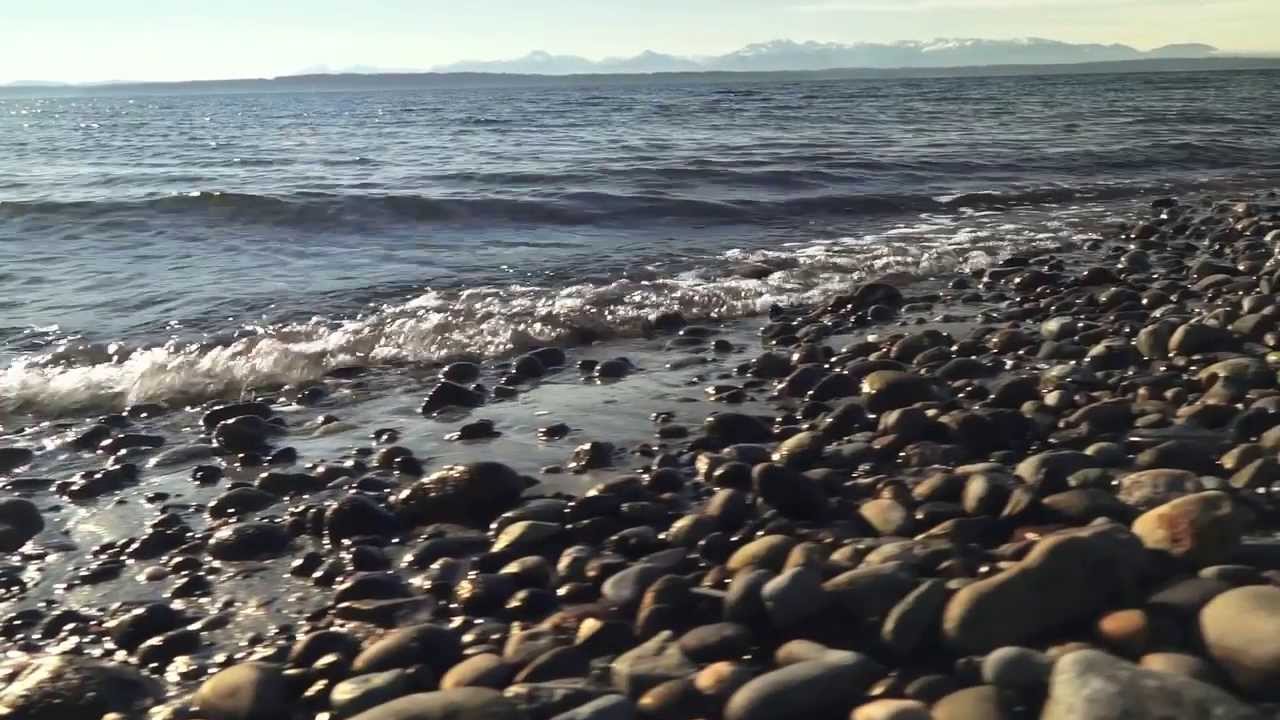 5IJl-INsVYE