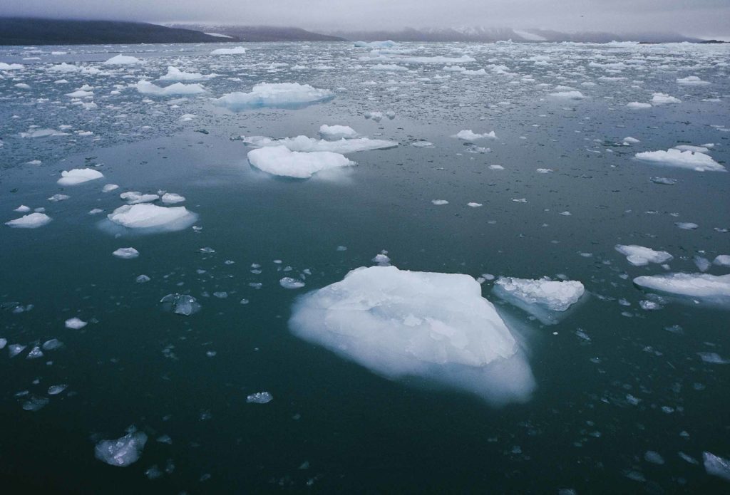 Protecting The Arctic