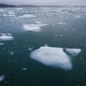 Protecting The Arctic