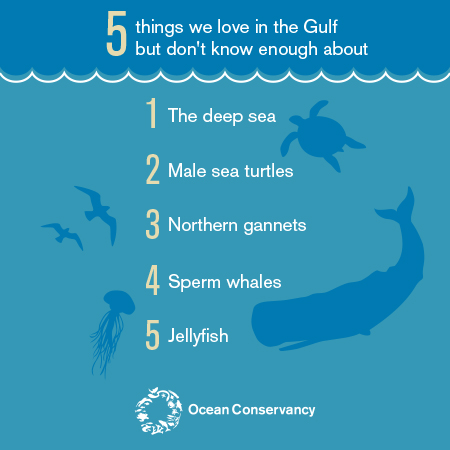 Restoring the Gulf of Mexico: Charting the Gulf - Ocean Conservancy