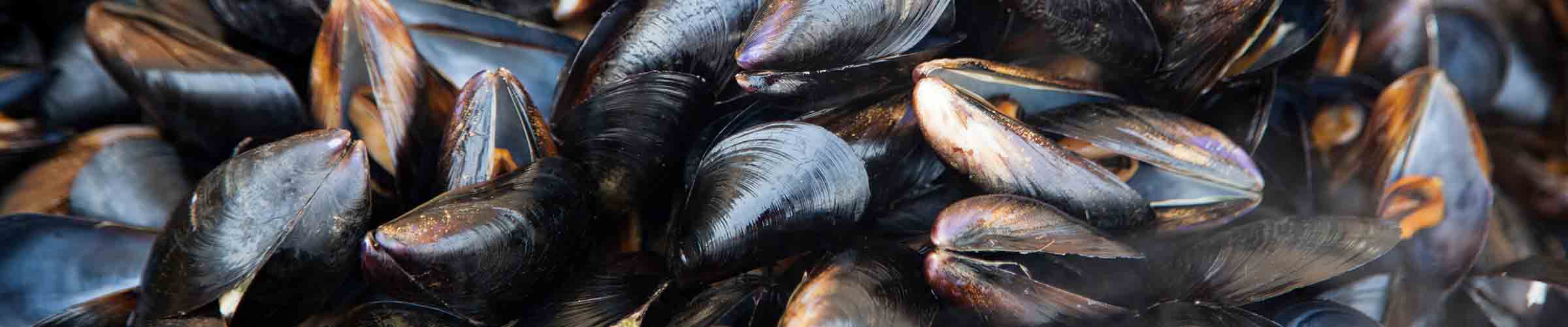 hawaiian mussels