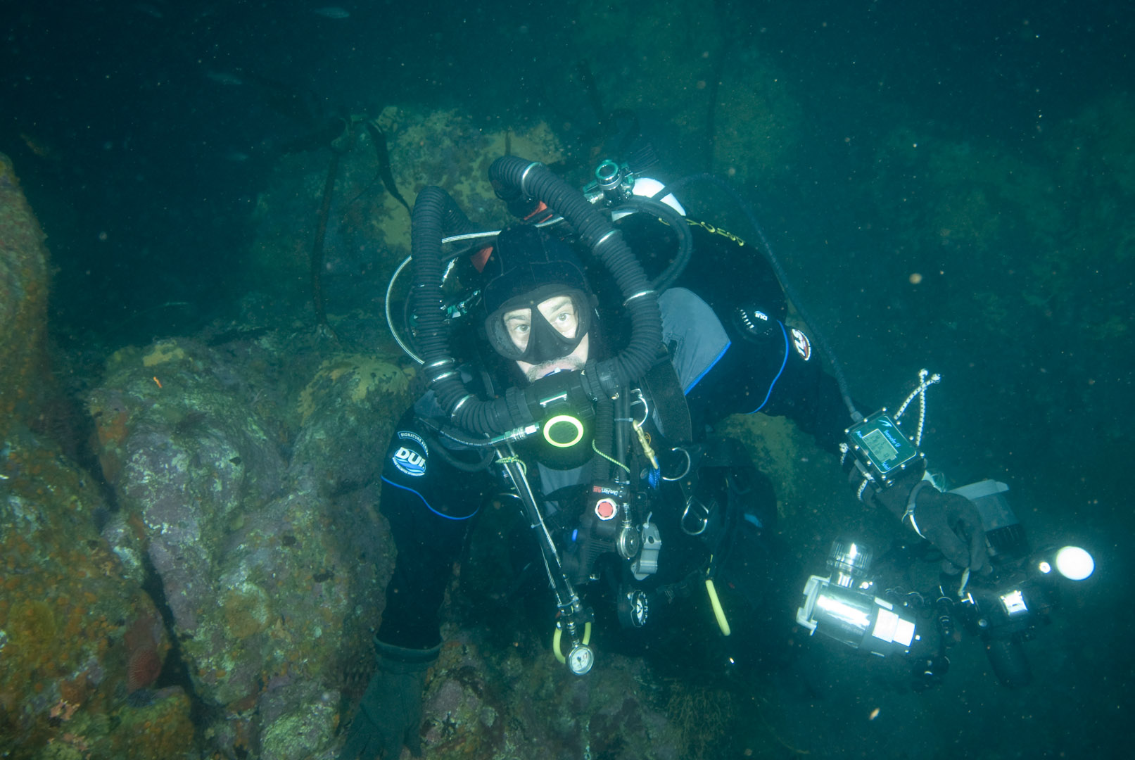 slideshow-yesterday-s-ocean-a-history-of-marine-life-on-california-s