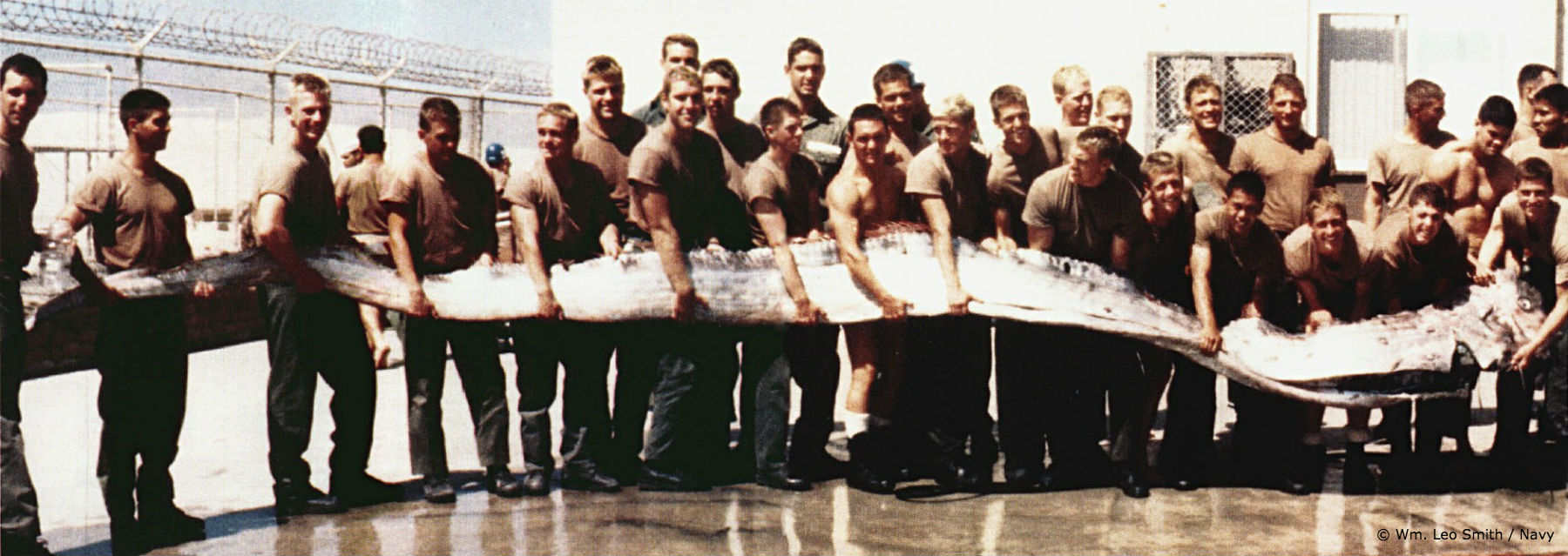 Giant_Oarfish_blog