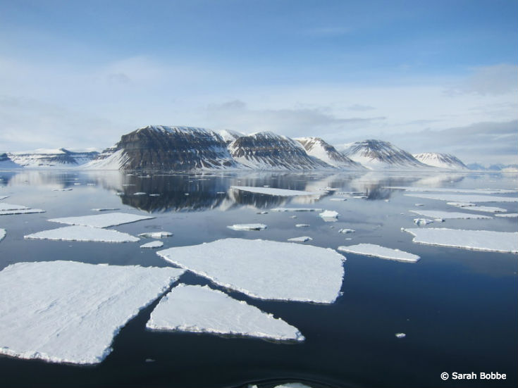 The Arctic is in Trouble, but There is Hope
