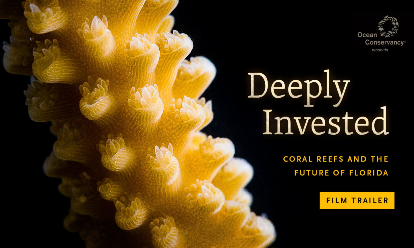 Deeply Invested Trailer Poster_blog