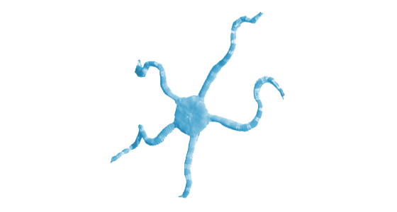 Wildlife Fact Sheets: Brittle Star - Ocean Conservancy