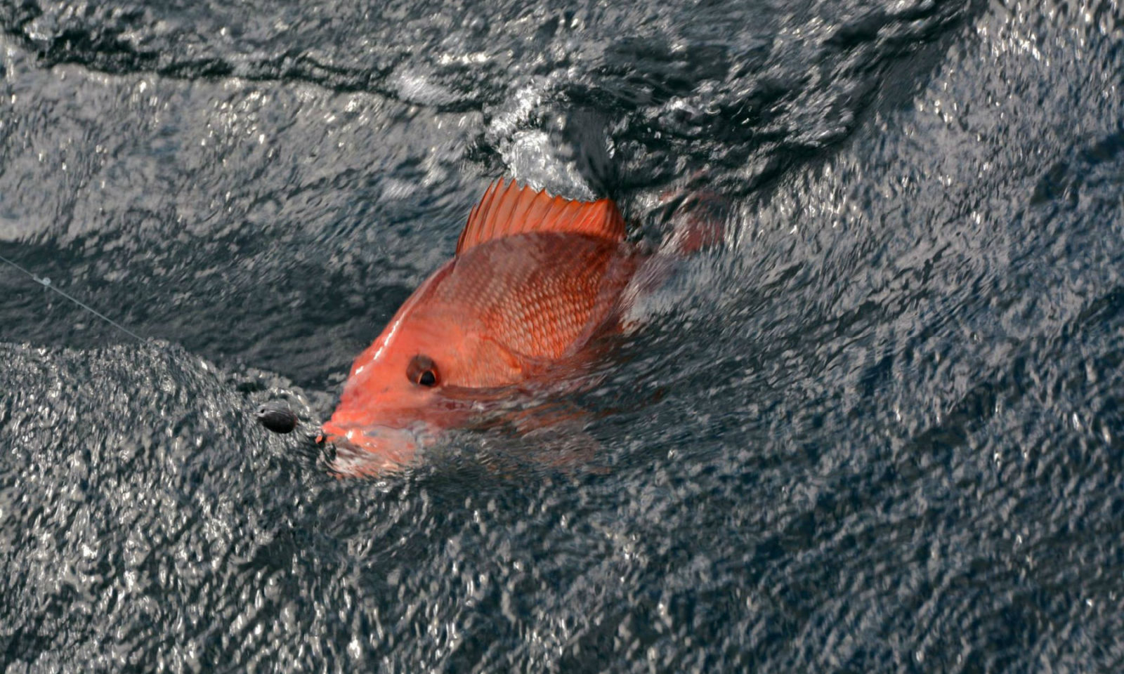 RS2_blog