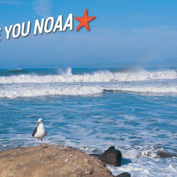 blog-coastline-noaa