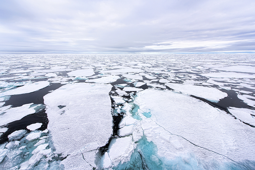 Dramatic Decline in Multiyear Arctic Sea Ice