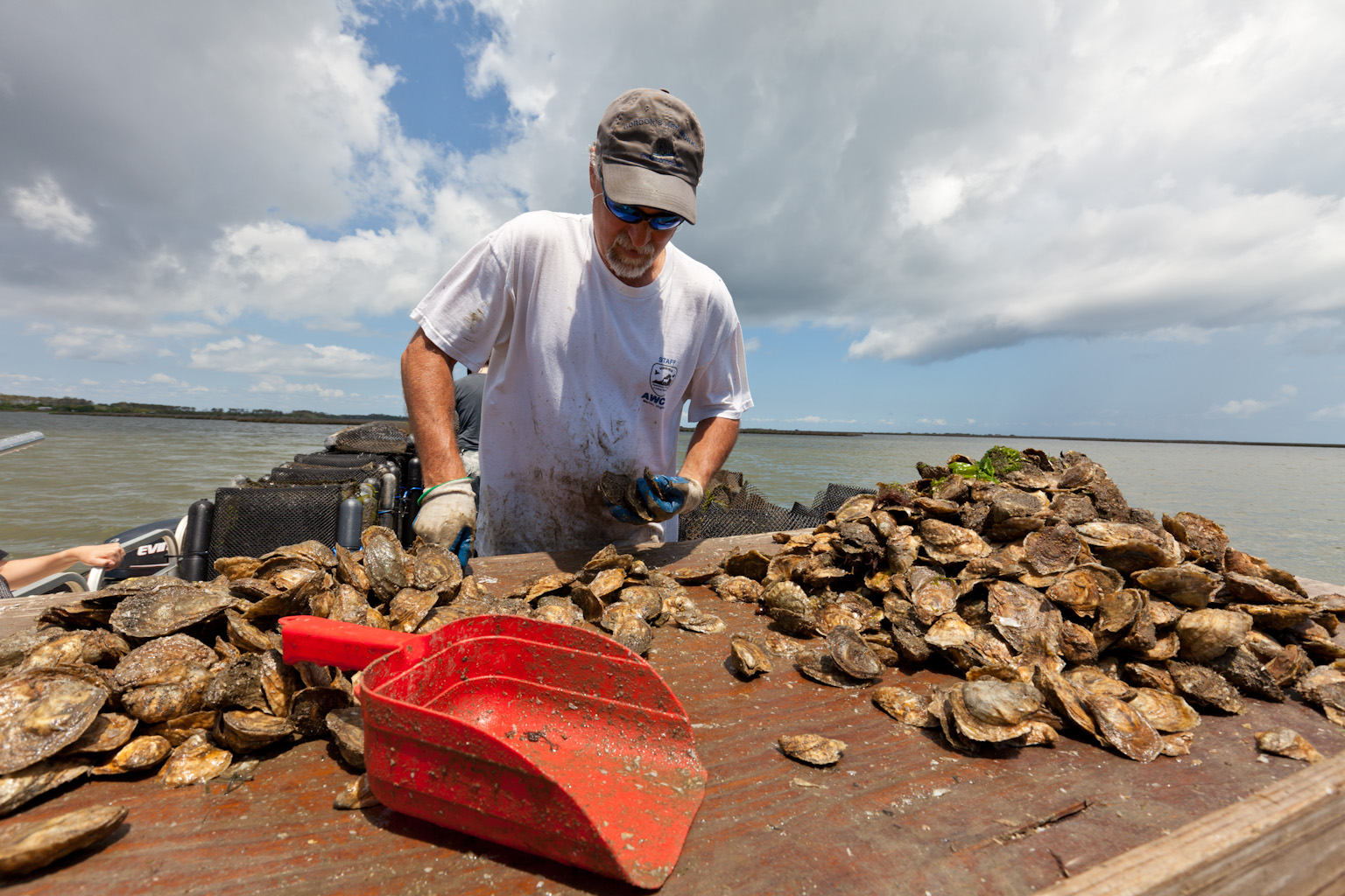 Cedar_Island_June_2013_019