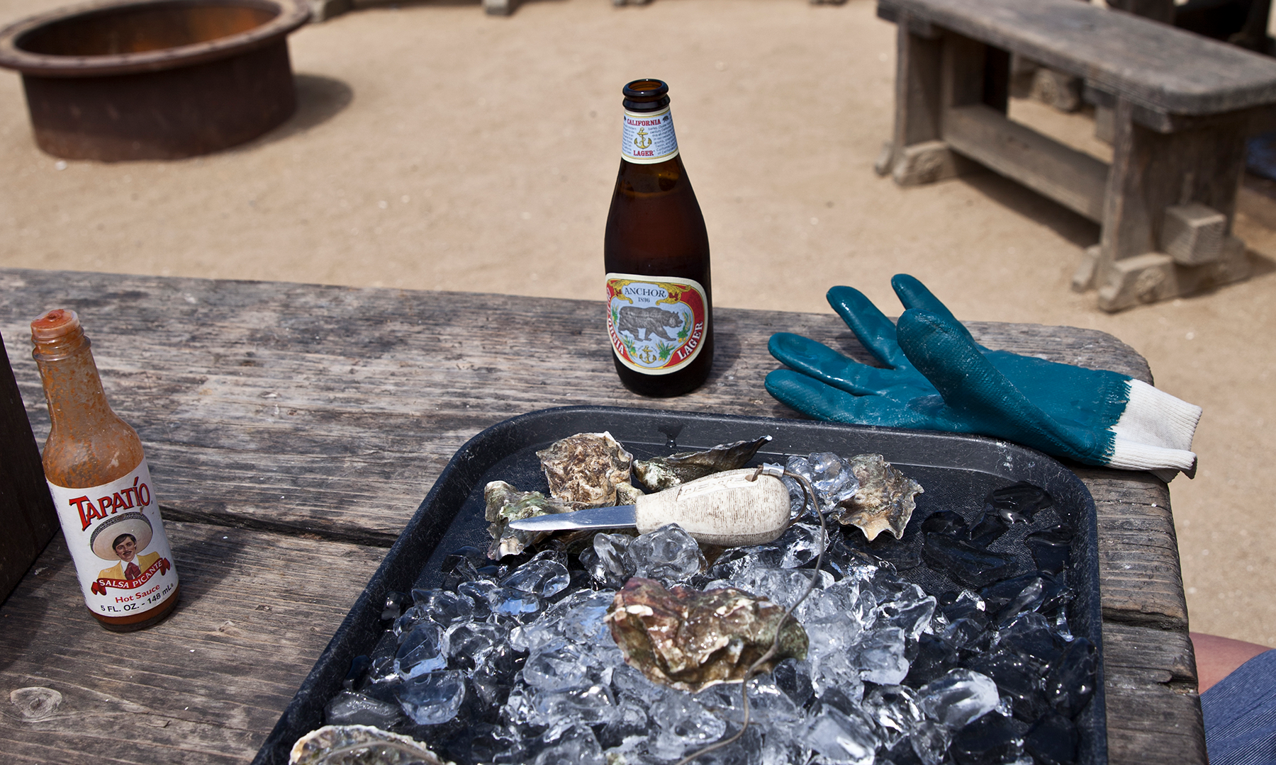 OC_Hog-Island-Oysters1163-blog