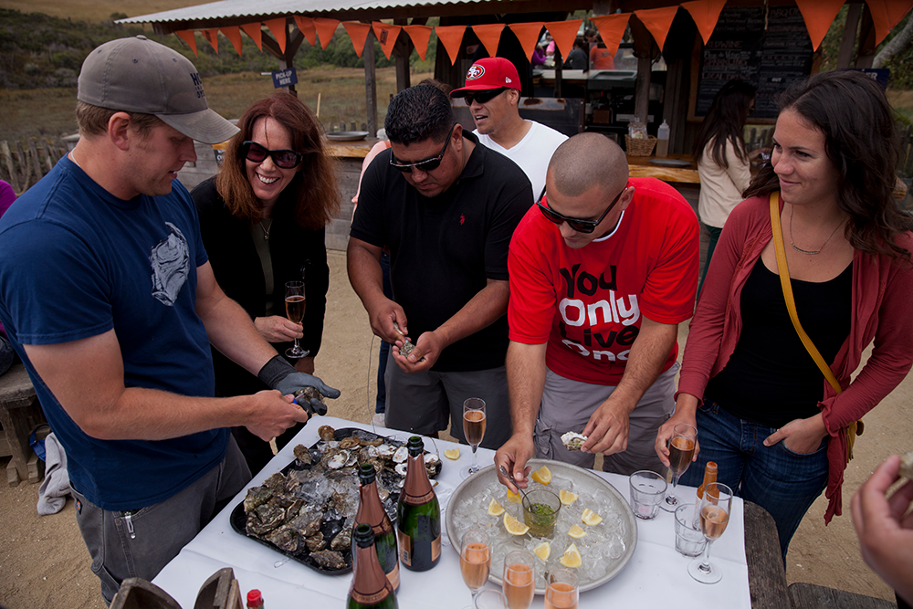 OC_Hog-Island-Oysters1172-blog