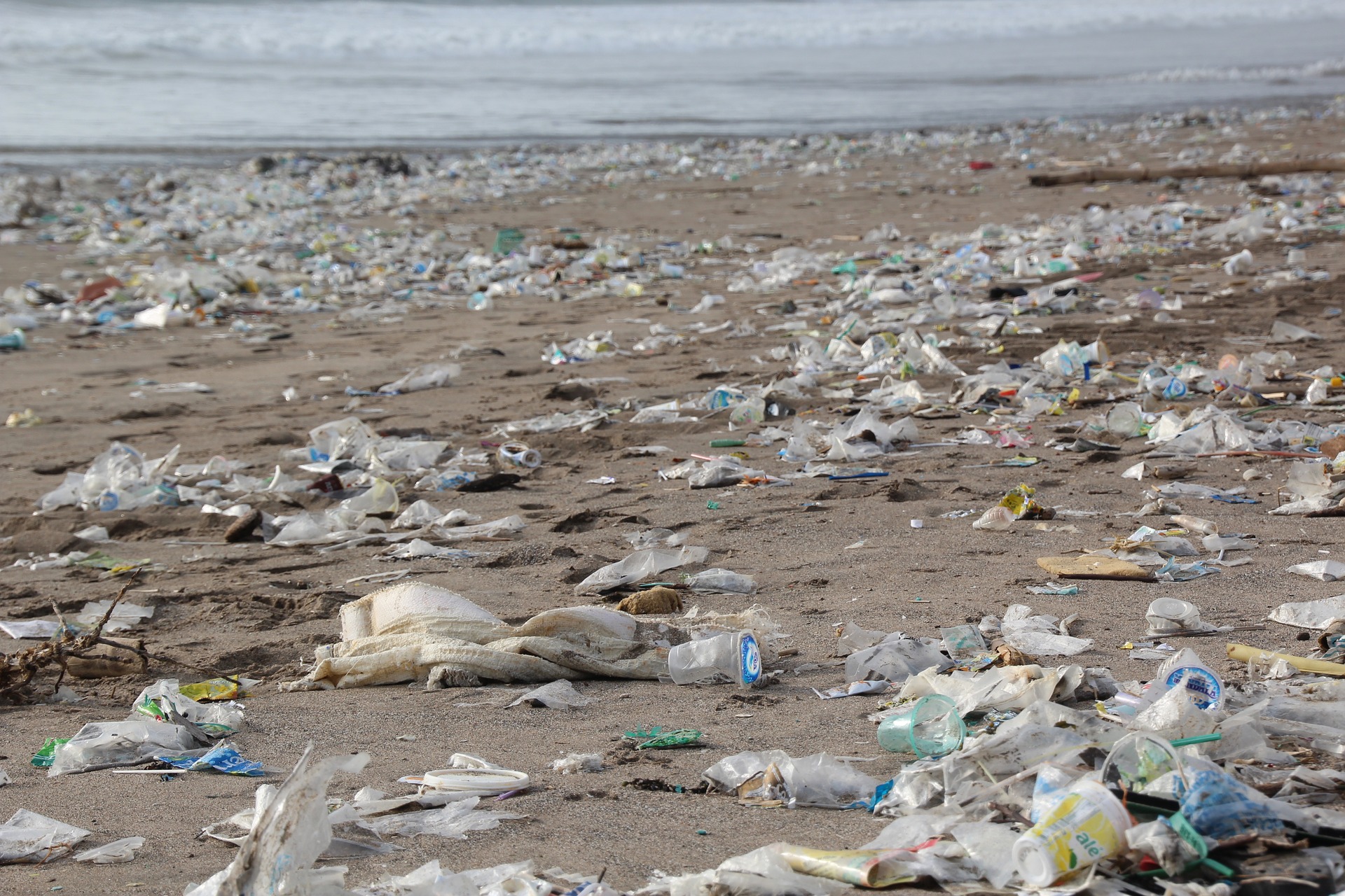 Trash Free Seas: Plastics in the Ocean - Ocean Conservancy