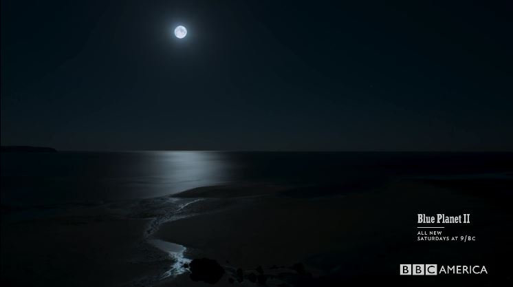 Coasts2
