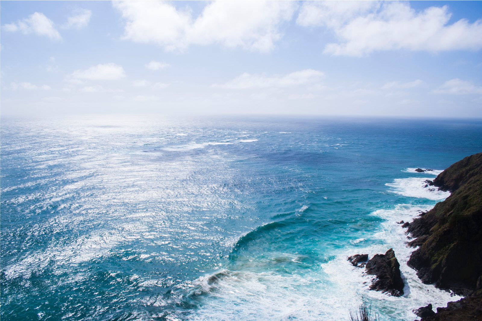 mathew-waters-38053-unsplash