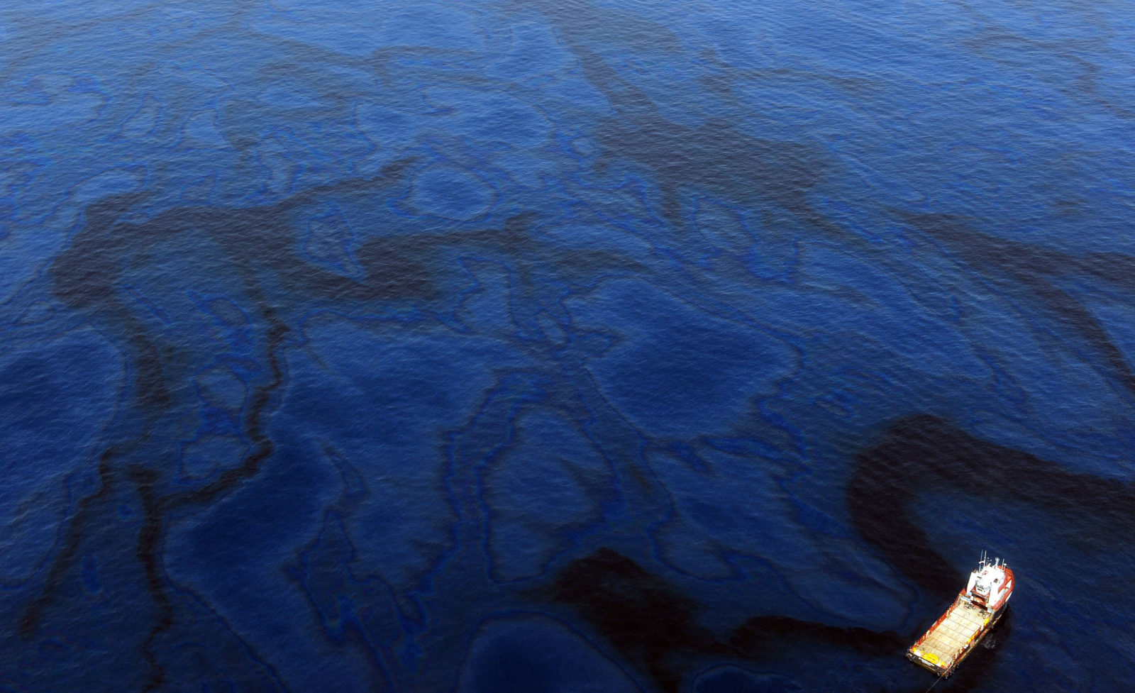OIL SPILL
