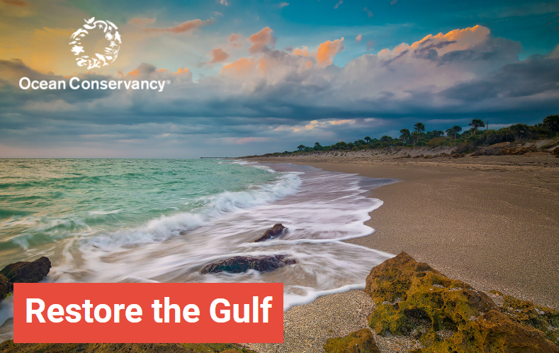 Restoring the Gulf beyond the shore