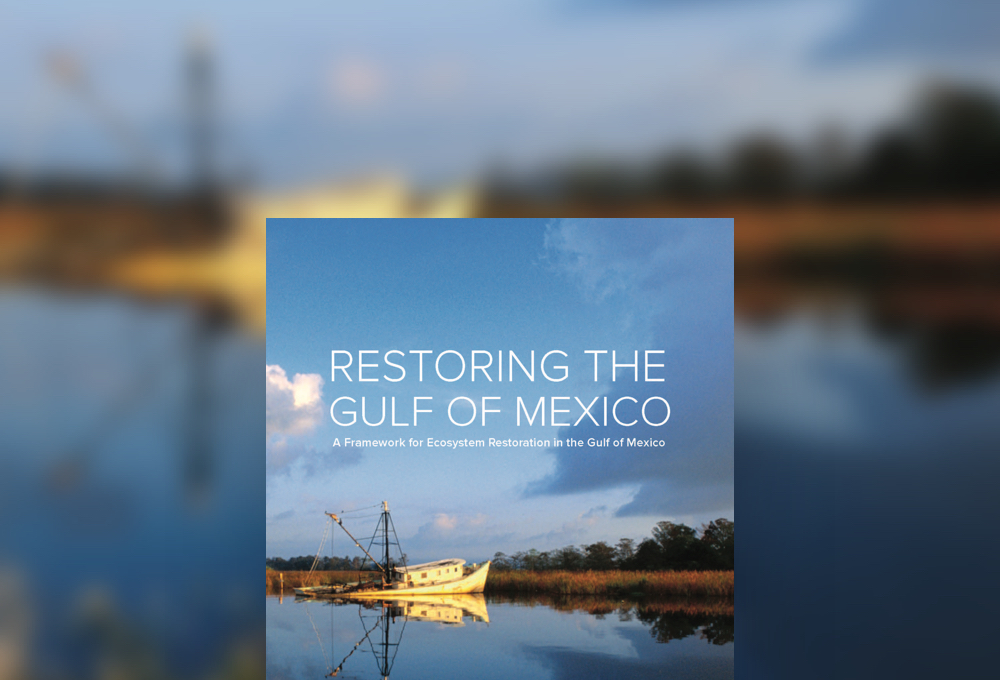 Framework for restoring the Gulf