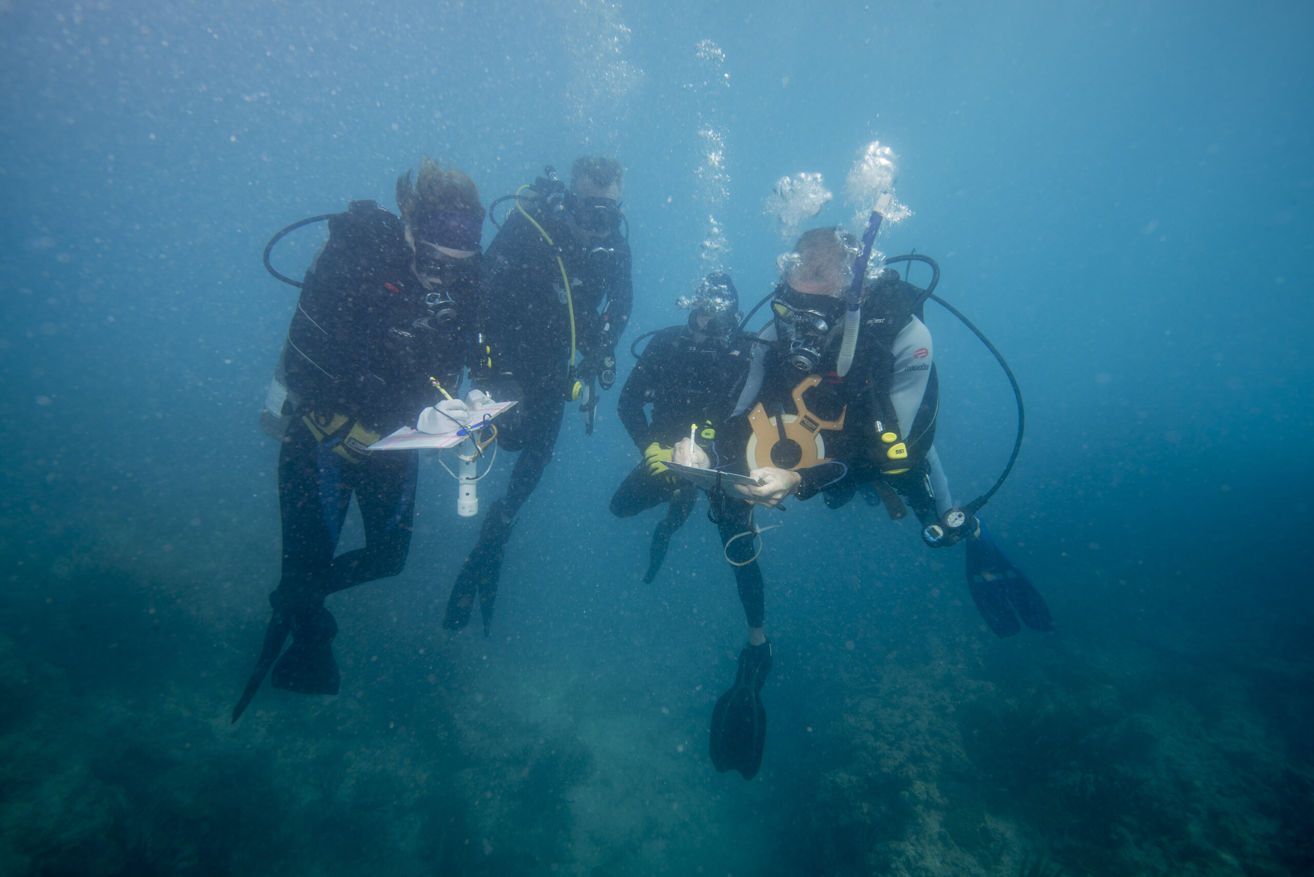 The Recon Force of the Ocean - Ocean Conservancy