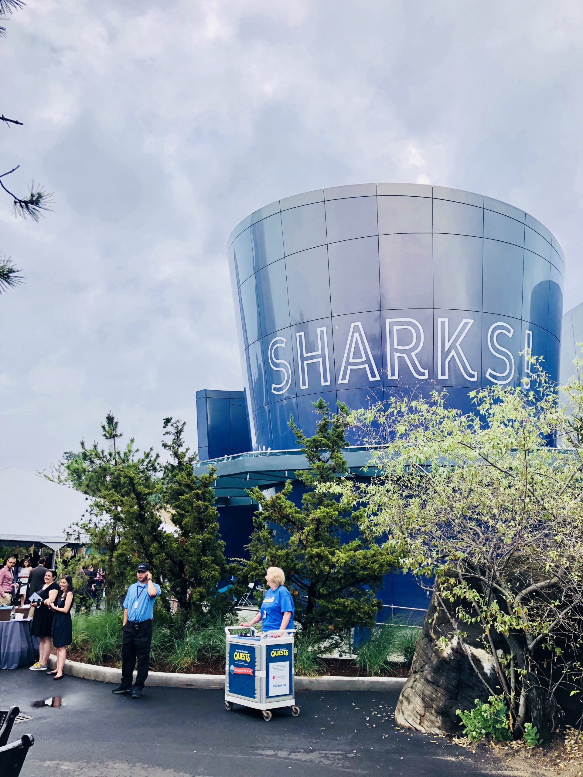 sharks