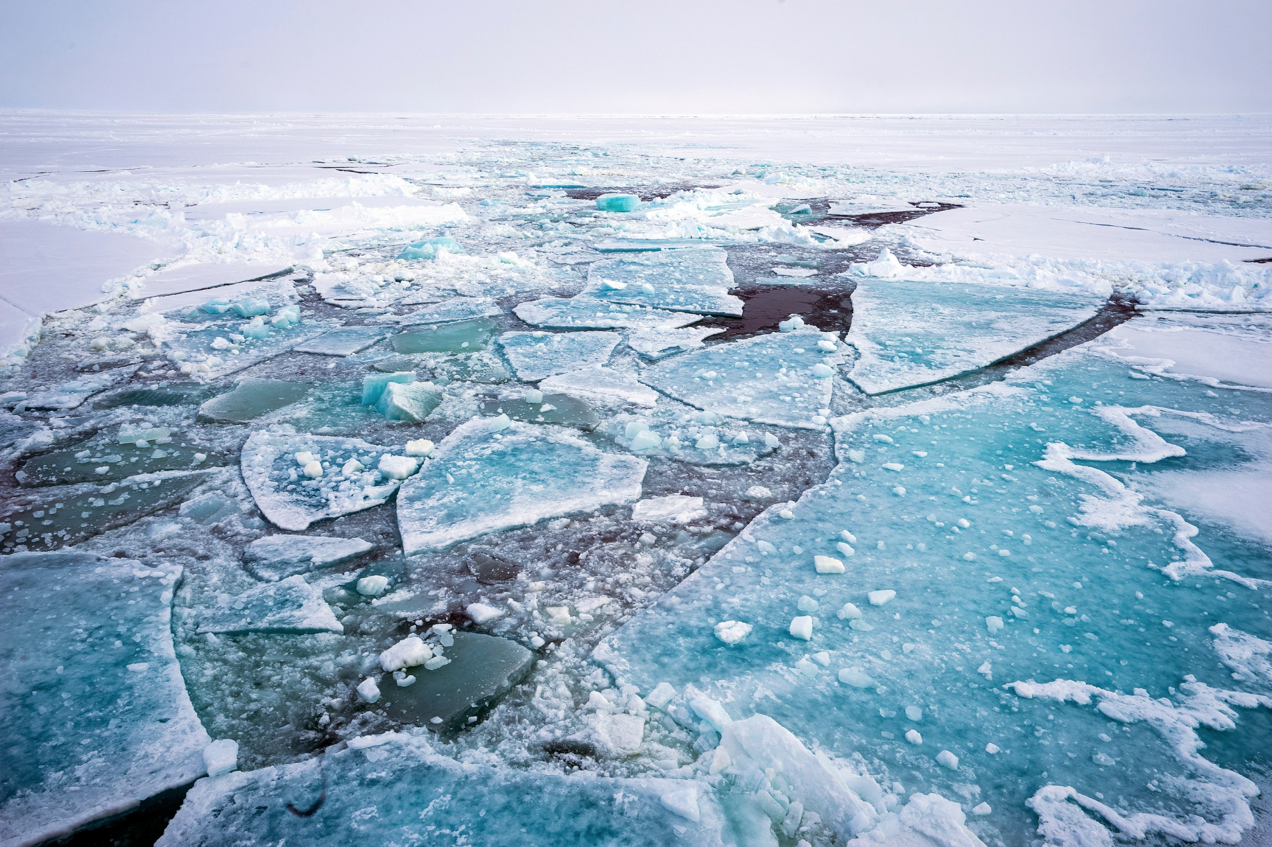 Back ice. Арктические моря. Северные воды. Арктика города. Небоскреб в Арктике.