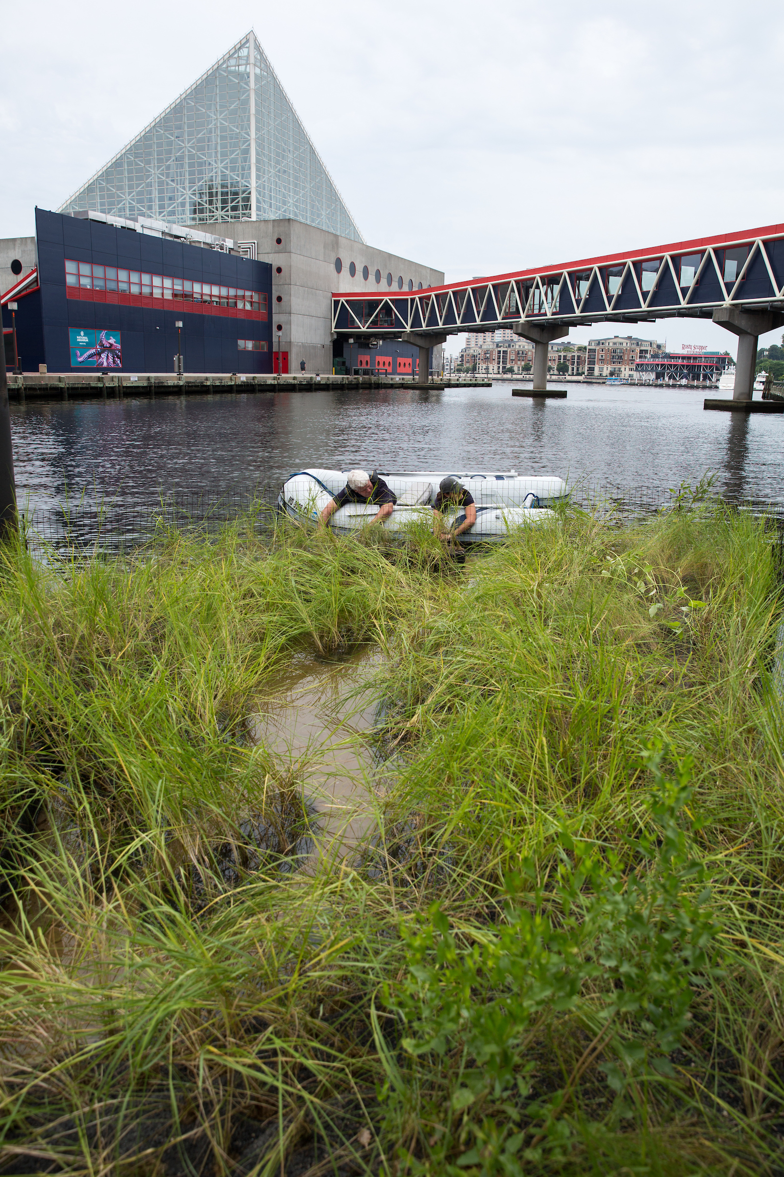 Floating Wetland Prototype | August 14, 2017