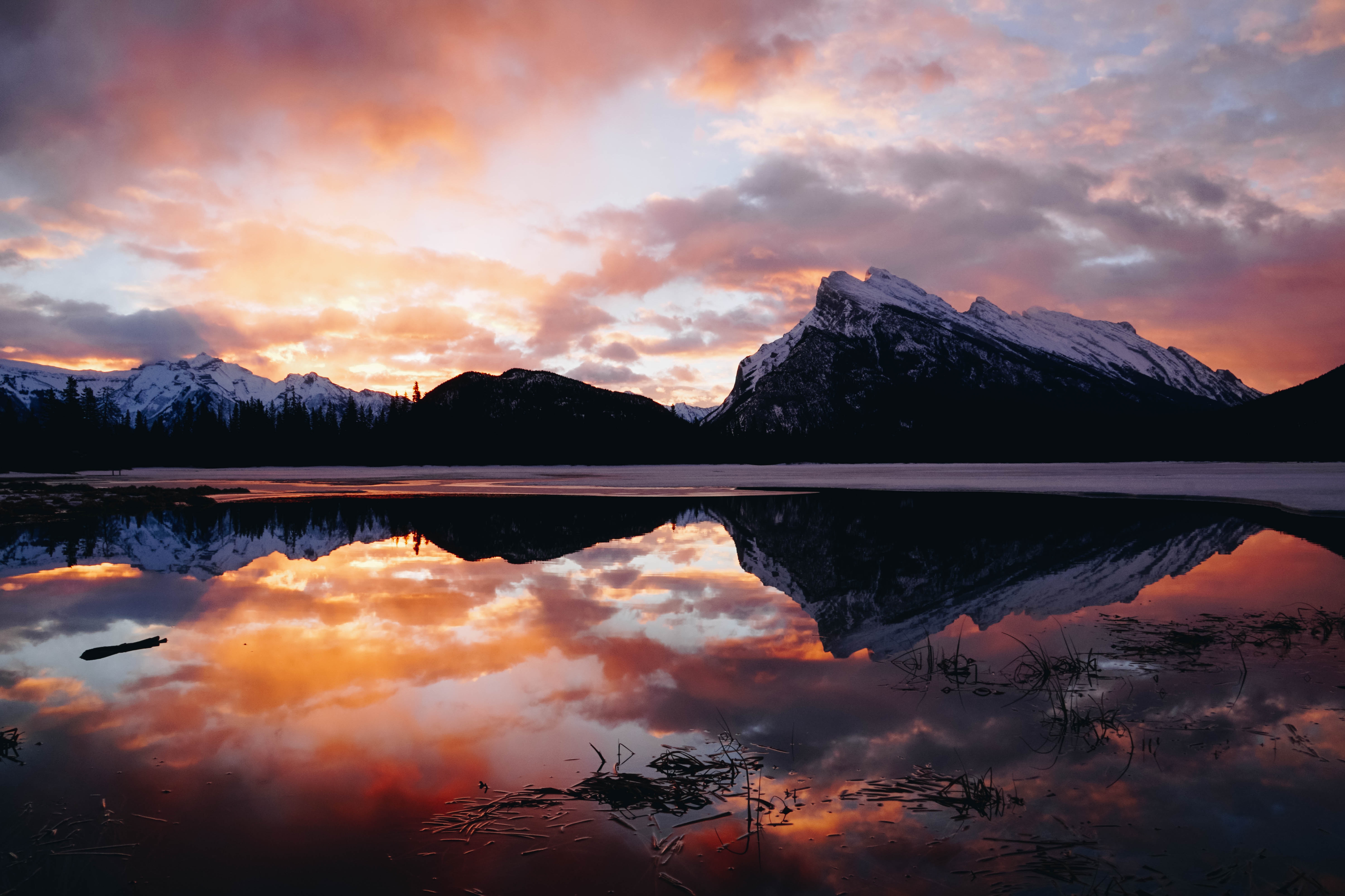mckenzie-toyne-747170-unsplash