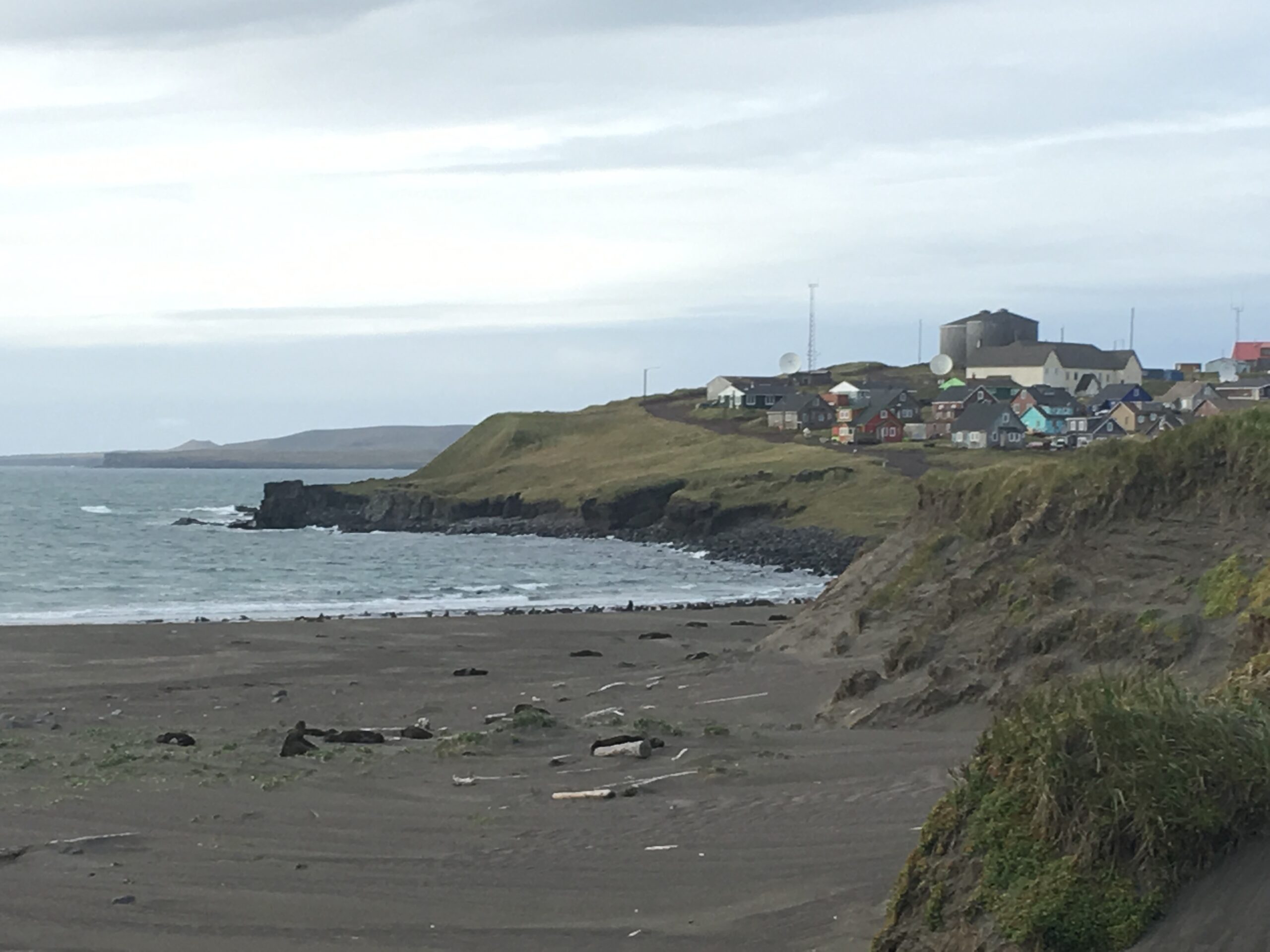 beach we cleaned in may with seals