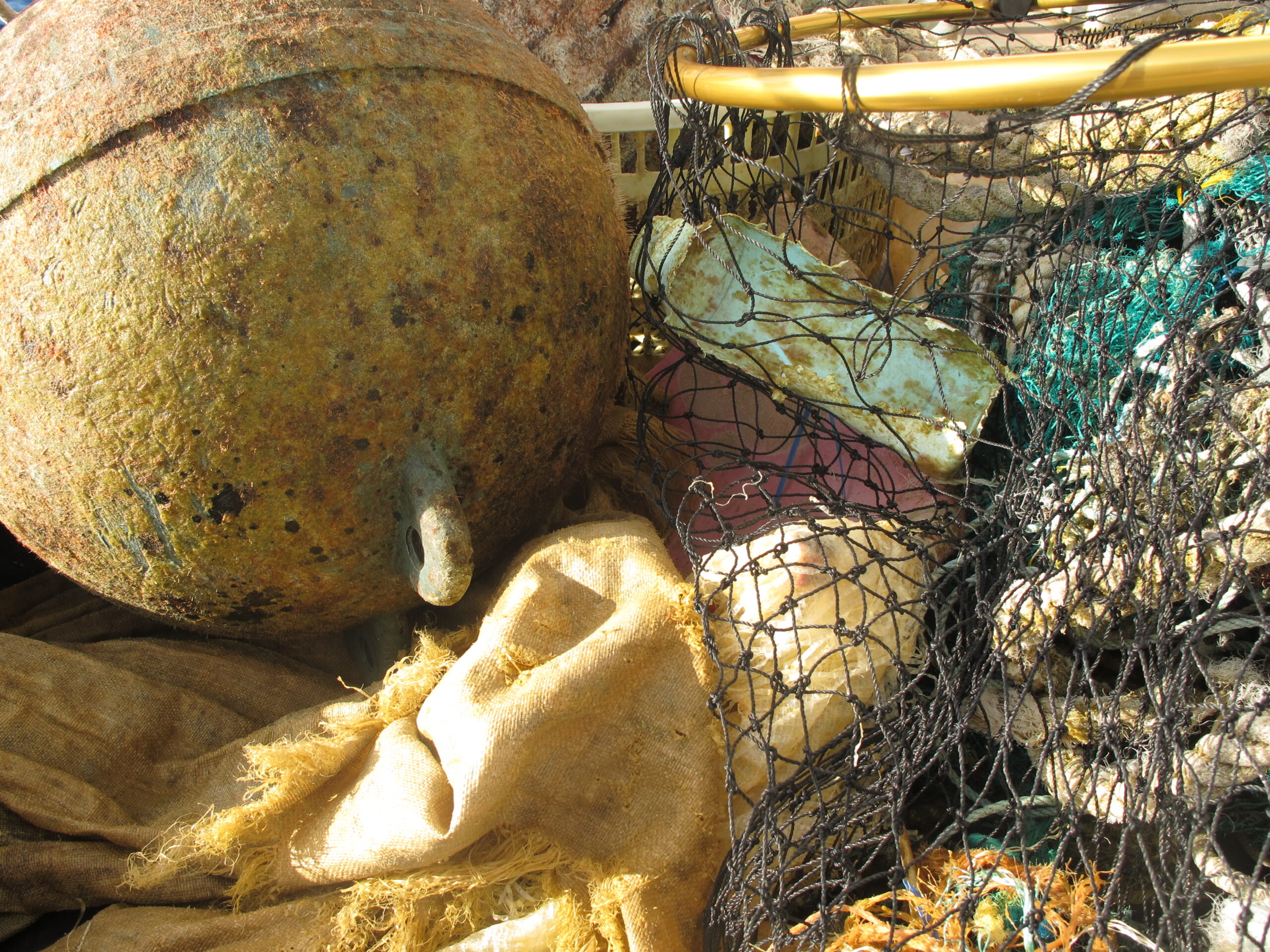 ocean conservancy