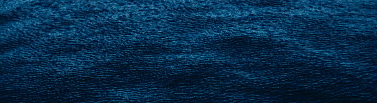 Deep Blue Sea