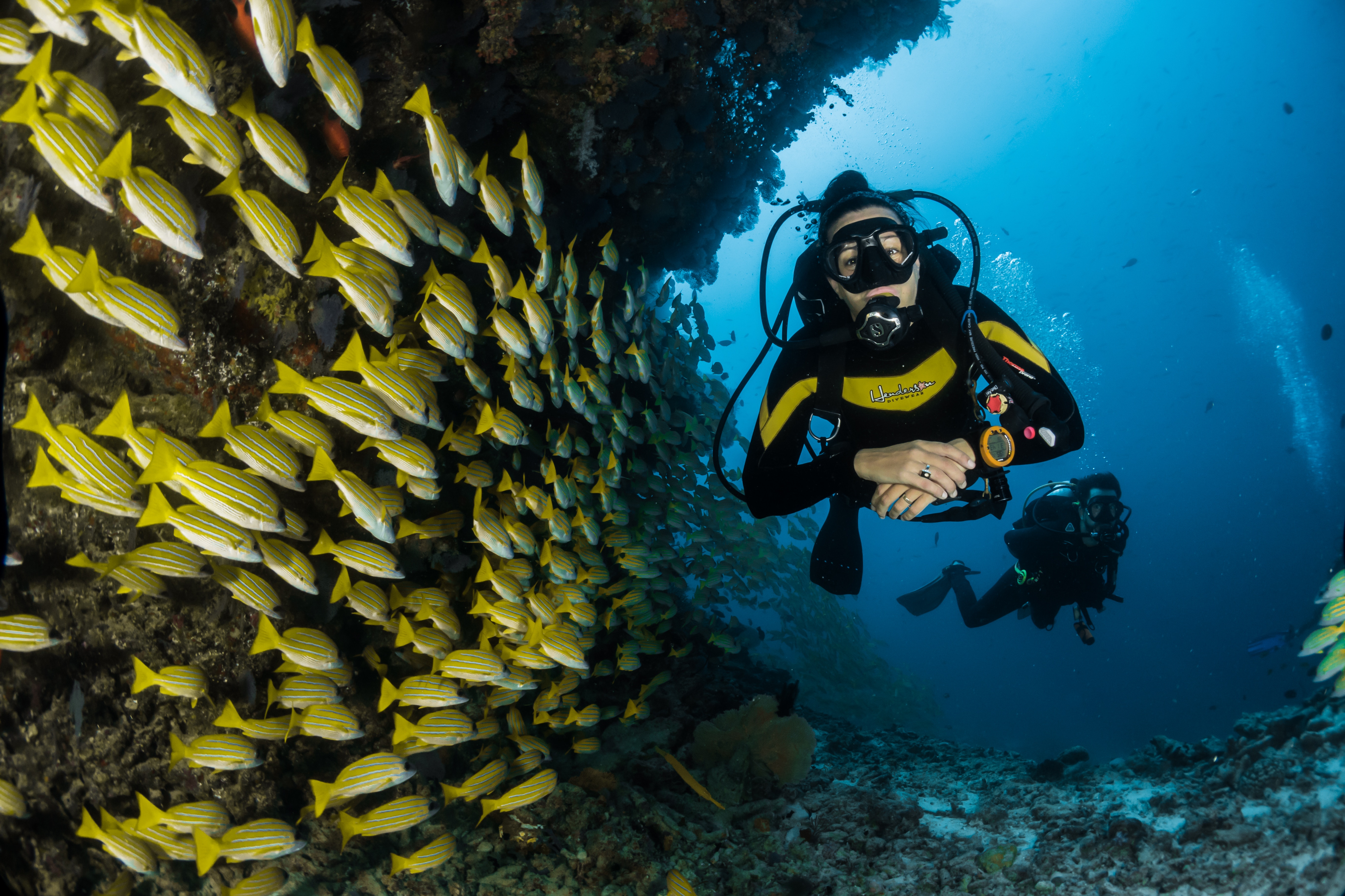 Could 2019 be the Year You Learn to SCUBA Dive - Ocean 