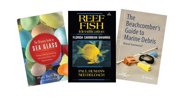 updated last portion